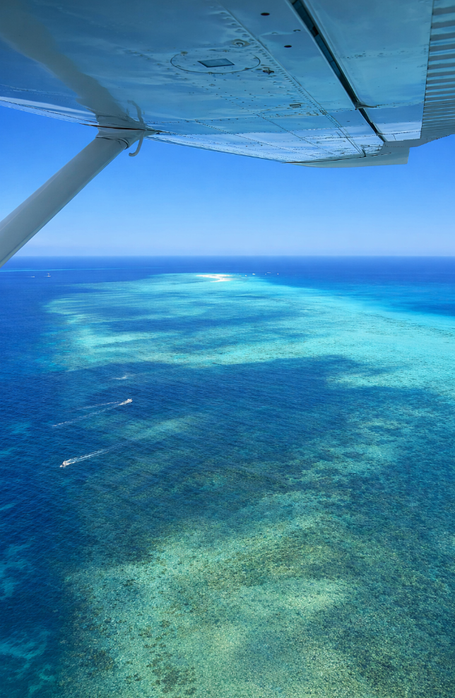 great barrier reef vsdfsd sdasd