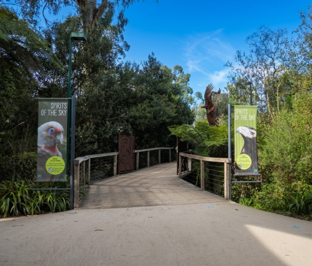 healesville sanctuary