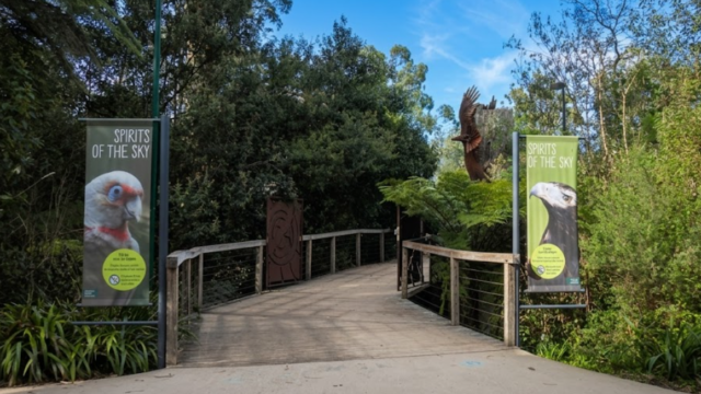 healesville sanctuary