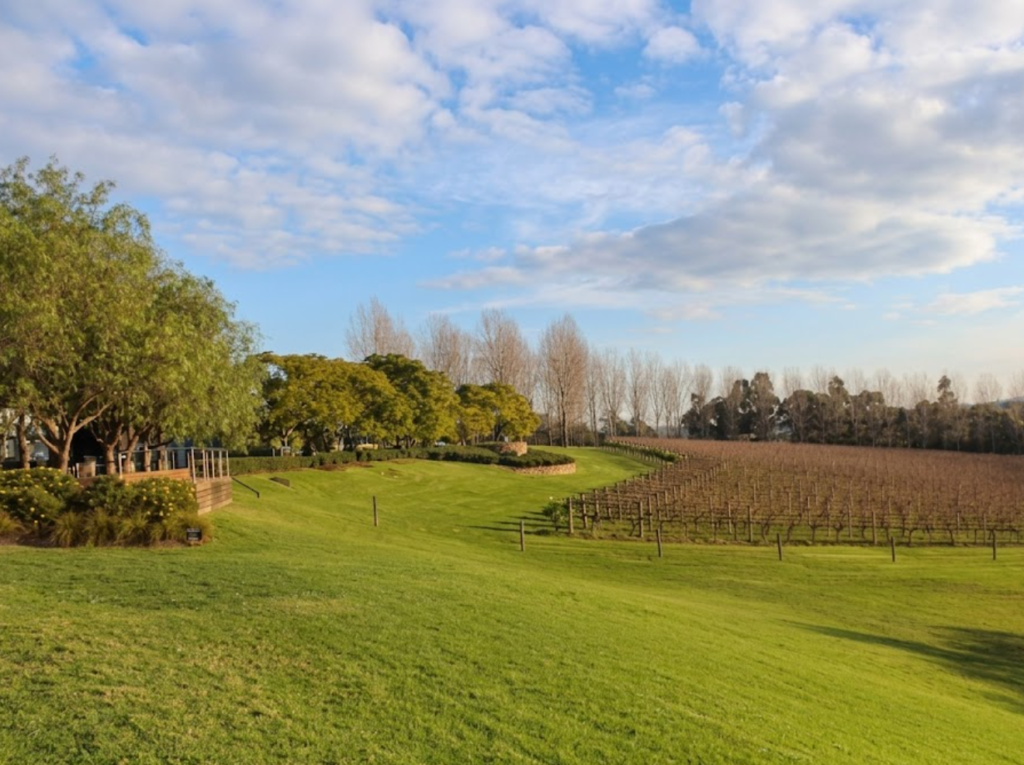 healesville sanctuary vsdcs – Copy