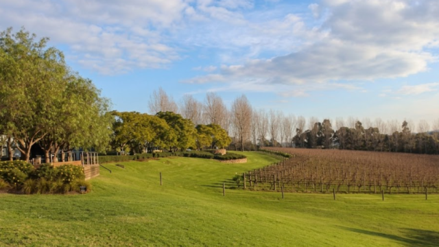healesville sanctuary vsdcs – Copy