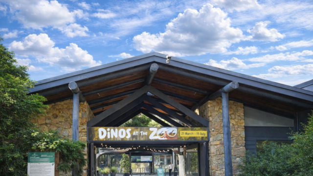 healesville sanctuary vsdcs vsds
