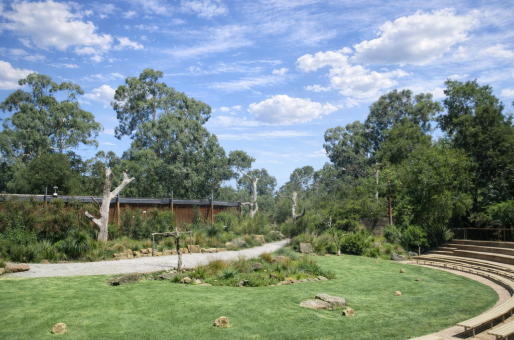healesville sanctuary vsdcs vsds vgfghf