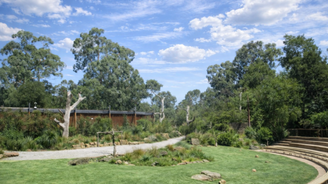 healesville sanctuary vsdcs vsds vgfghf