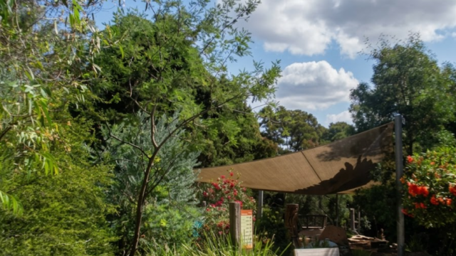 healesville sanctuary vsdcs vsds vgfghf xvsd