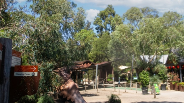 healesville sanctuary vsdcs vsds vgfghf xvsd cascas