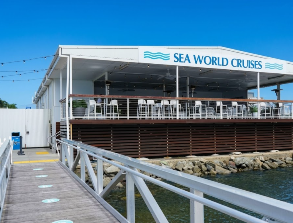whale watching gold coast vsdfs vdsfsd