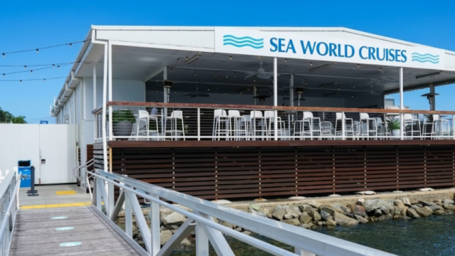 whale watching gold coast vsdfs vdsfsd